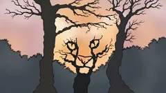 Was siehst du auf diesem Bild? Ein psychologischer Test, der zeigt, wie du die Welt siehst