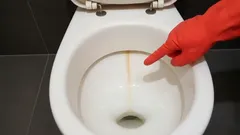 Diesen gelben Streifen kennt jeder – aber nicht alle kennen den einfachen Trick, um ihn loszuwerden