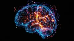 Was ist die Alzheimer-Krankheit und warum verschlechtert sich unser Gedächtnis? Eine wissenschaftliche Erklärung.