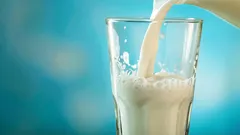 Was man in die Milch geben sollte, damit sie nicht schlecht wird: bewährte Tipps
